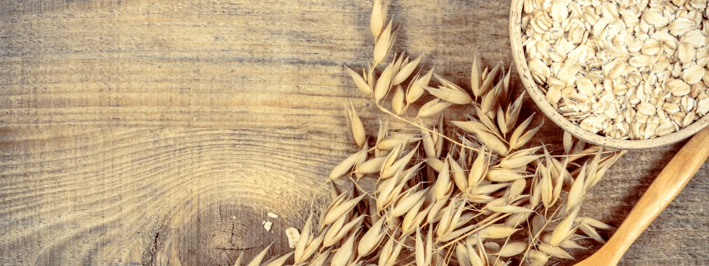 Ultimate Worm Chow Recipe